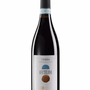 Terra Sangue di Giuda