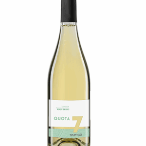Quota 7 Pinot Grigio DOC