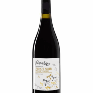 Paradosso Pinot Noir IGT